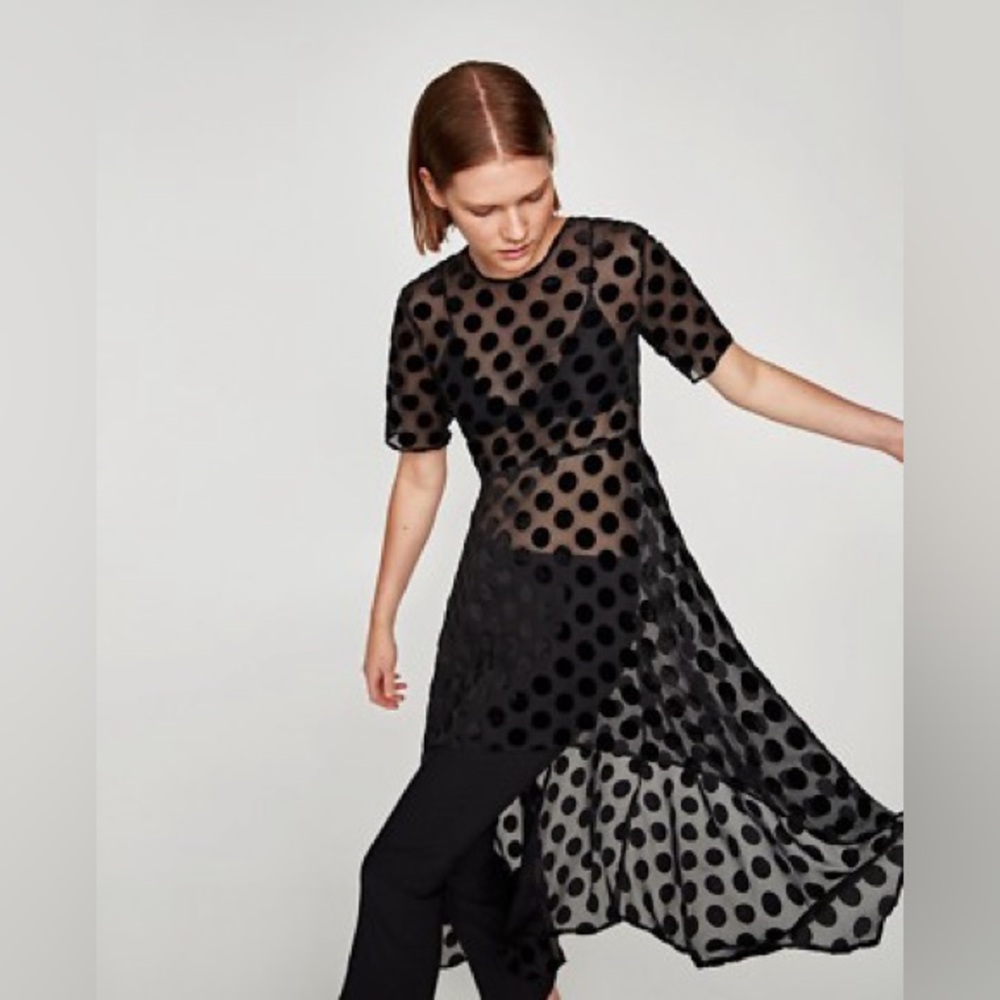Zara Sheer Polka Dot Dress